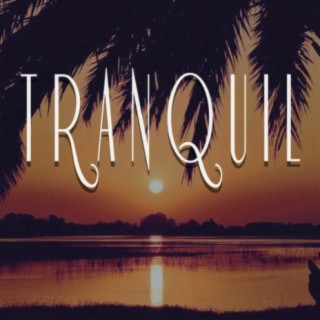 Tranquil