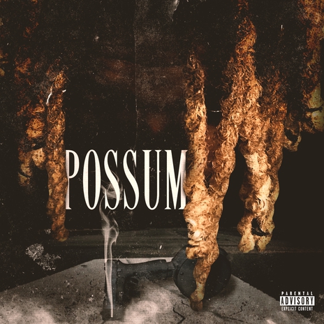 POSSUM | Boomplay Music