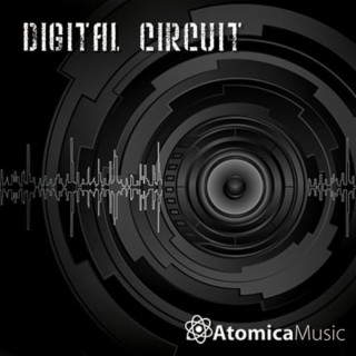 Digital Circuit