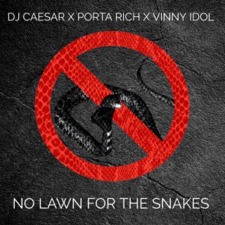 NO LAWN FOR THE SNAKES