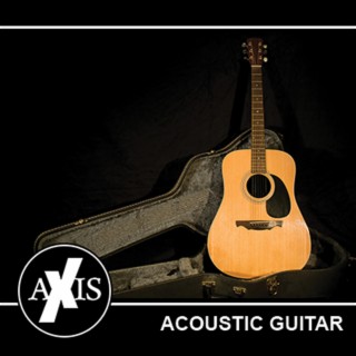 Acoustic Guitar