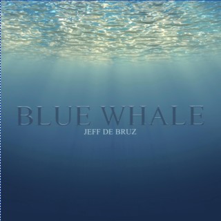 Blue Whale