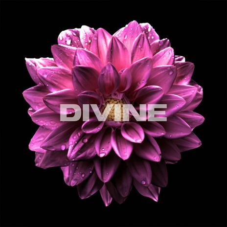 Divine | Boomplay Music