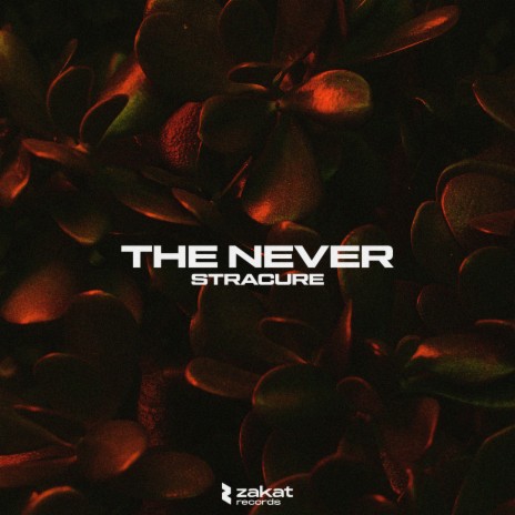 The Never | Boomplay Music