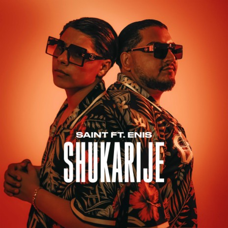 Shukarije ft. ENIS | Boomplay Music