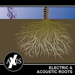 Electric & Acoustic Roots