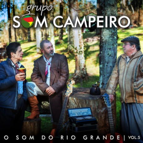 Vanerão do Guampa Torta | Boomplay Music