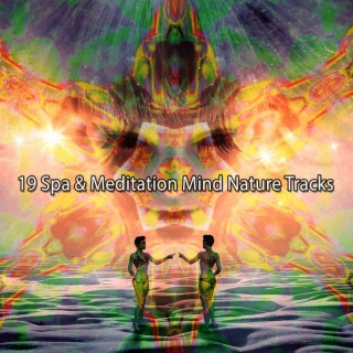 19 Spa & Meditation Mind Nature Tracks