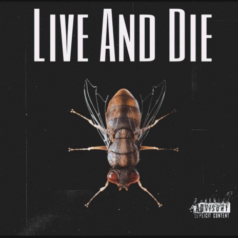 Live and Die (Live)