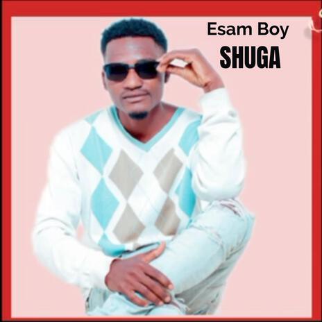 Shuga | Boomplay Music