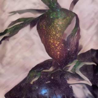 Starfruit