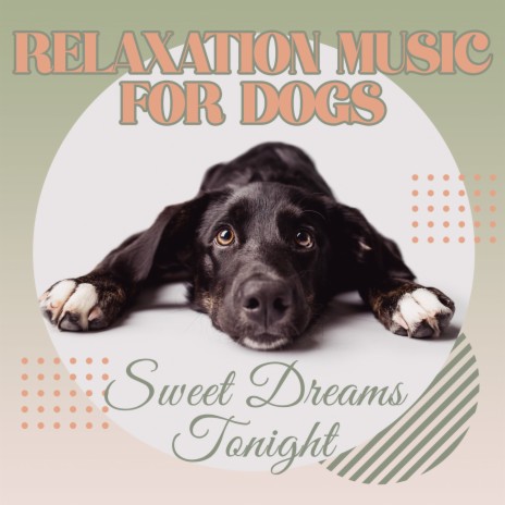 Relaxation Music for Dogs - Sweet Dreams Tonight