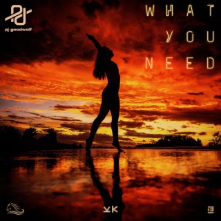 What You Need