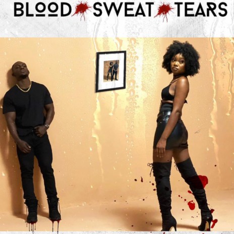 Blood Sweat and Tears | Boomplay Music