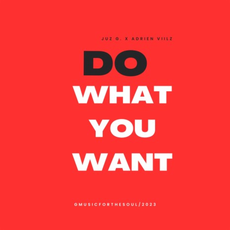 Do What You Want (Radio Edit) | Boomplay Music