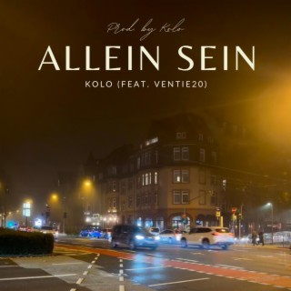 Allein sein (feat. Ventie20)