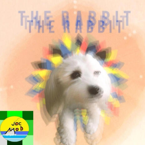 The rabbit | Boomplay Music