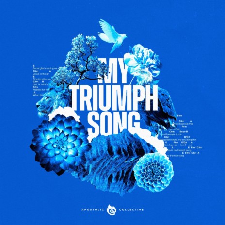 My Triumph Song (Live) | Boomplay Music