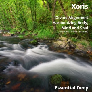 Divine Alignment - Harmonizing Body, Mind and Soul (Nature - Forest Stream)