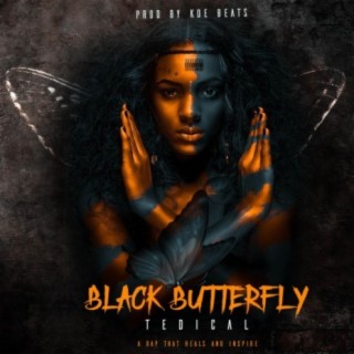 Black Butterfly