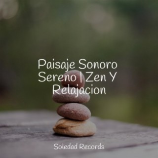Paisaje Sonoro Sereno | Zen Y Relajacion