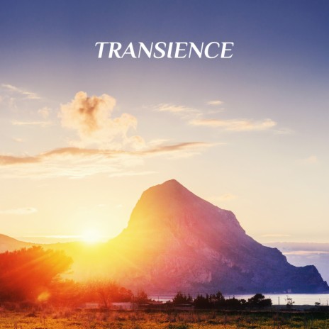 Transience | Boomplay Music