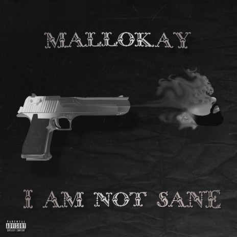 I Am Not Sane | Boomplay Music