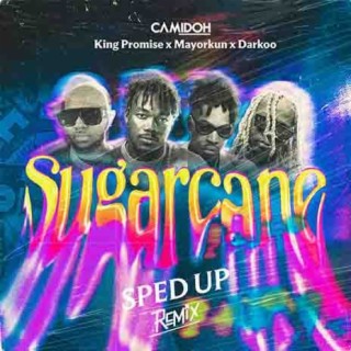 Sugarcane Remix (Sped Up) lyrics | Boomplay Music