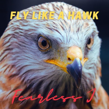 Fly Like A Hawk | Boomplay Music