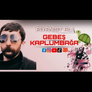 GEBEŞ KAPLUMBAĞA