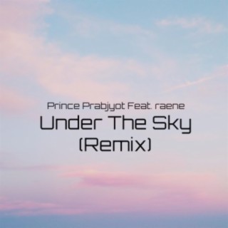 Under the Sky (feat. RAENE) [Remix]