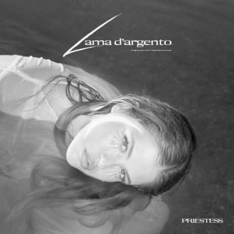 Lama d'argento | Boomplay Music