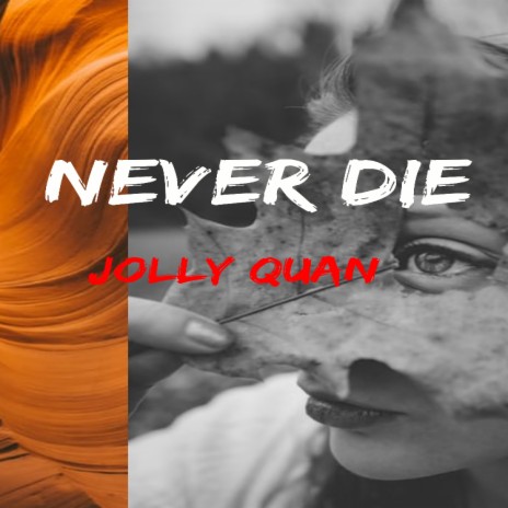 Never Die | Boomplay Music