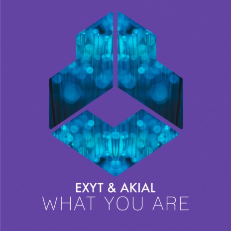 What You Are (Radio Edit) ft. AKIAL