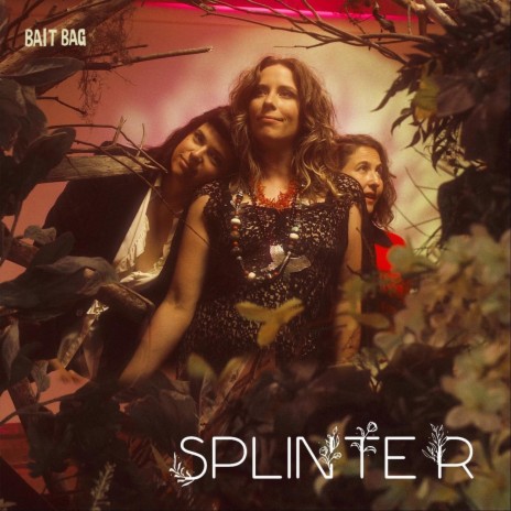 Splinter | Boomplay Music