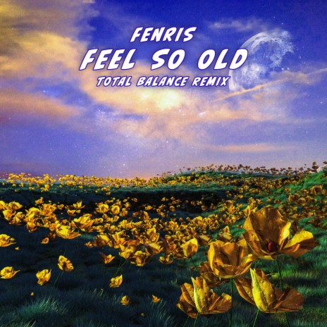 Feel So Old (Extended Remix) ft. Total Balance | Boomplay Music