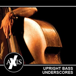 Upright Bass Underscores