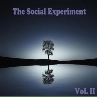 The Social Experiment II