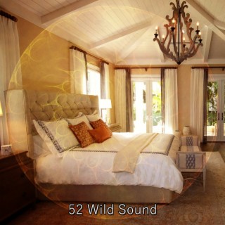 52 Wild Sound