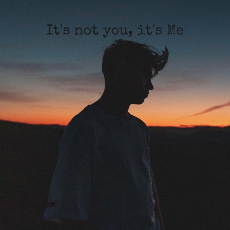 It's Not You, it's Me | Boomplay Music