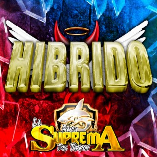 Hibrido