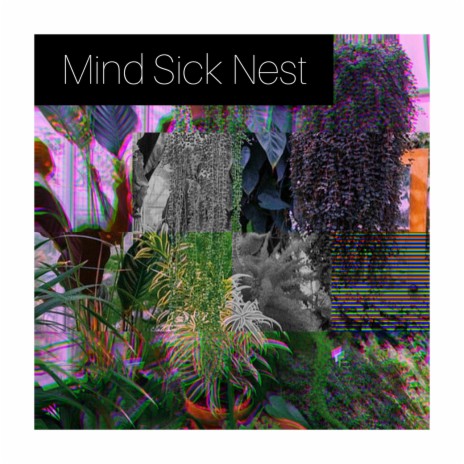 Mind Sick Nest | Boomplay Music