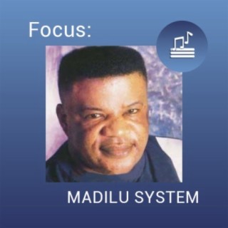 Focus: MADILU SYSTEM