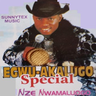 Nze Nwamaluogo