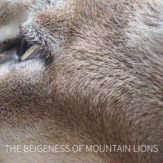 The Beigeness of Mountain Lions