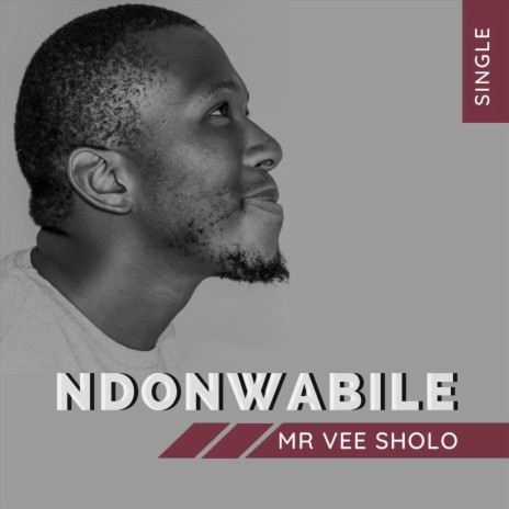 Ndonwabile | Boomplay Music