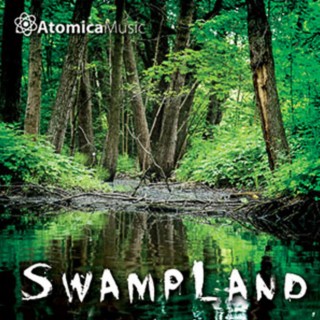 Swampland