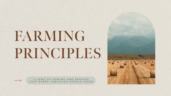 Farming Principles: 4 Laws of Sowing and Reaping That Every Christian Should Know