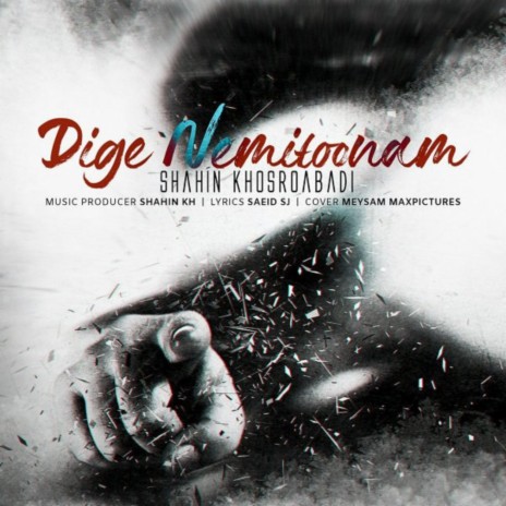 Dige Nemitoonam | Boomplay Music