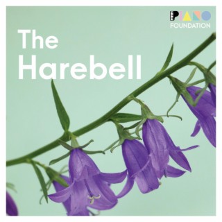 The Harebell